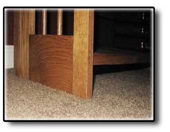 Rodent Room bookcase