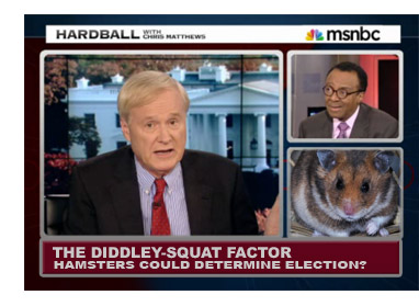 MSNBC has finally noticed the Hamster For President campaign