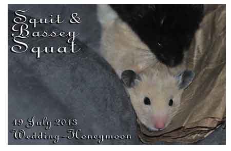 Squit and Bassey Wedding and Honeymoon, 17 July 2013